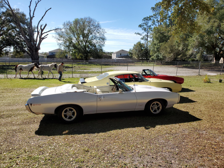 pontiac gto
