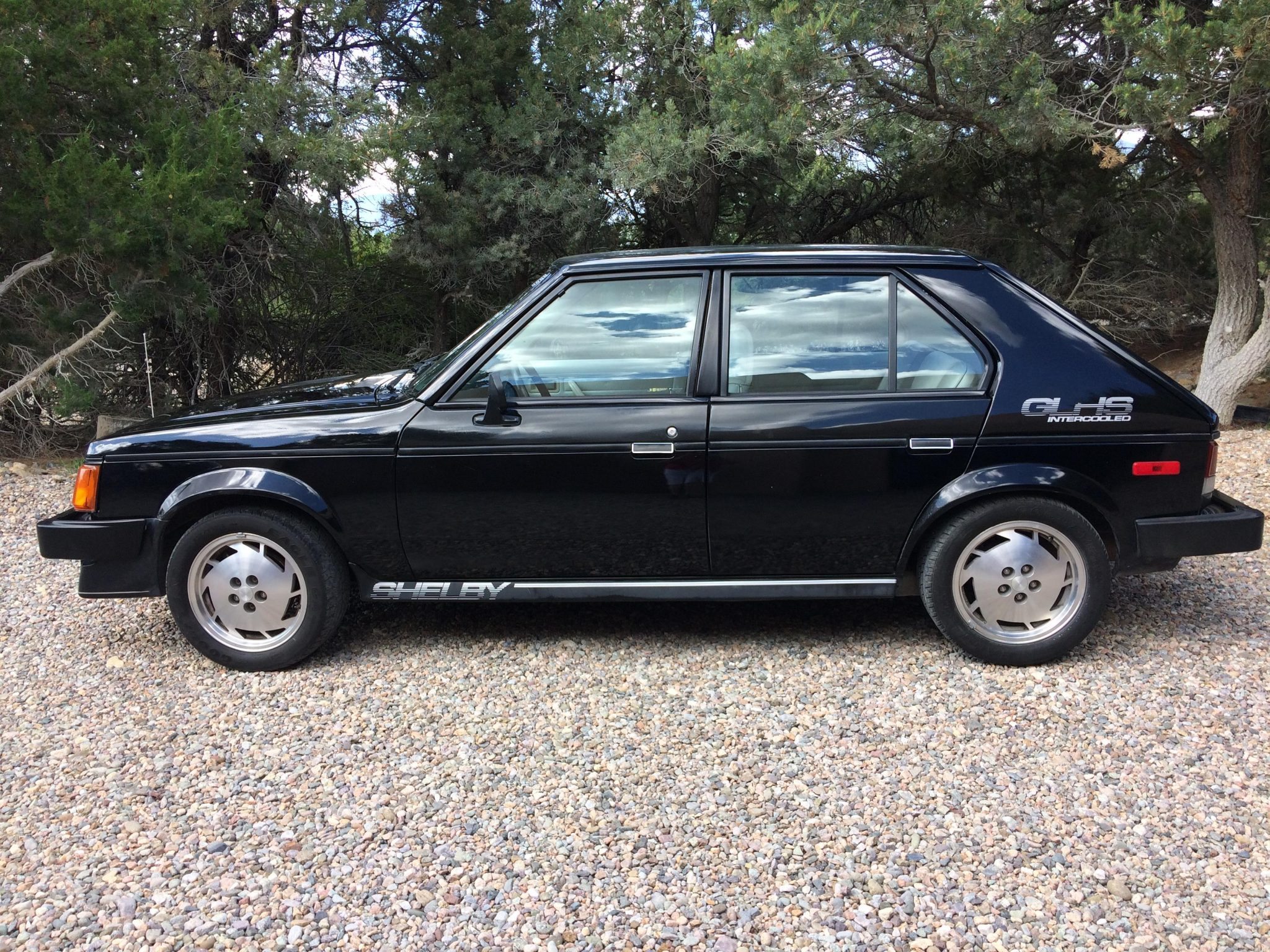 1986 dodge omni shelby glh-s
