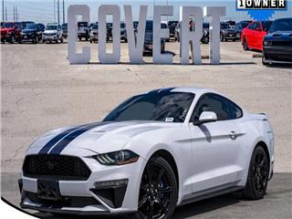 2019 Ford Mustang ecoboost