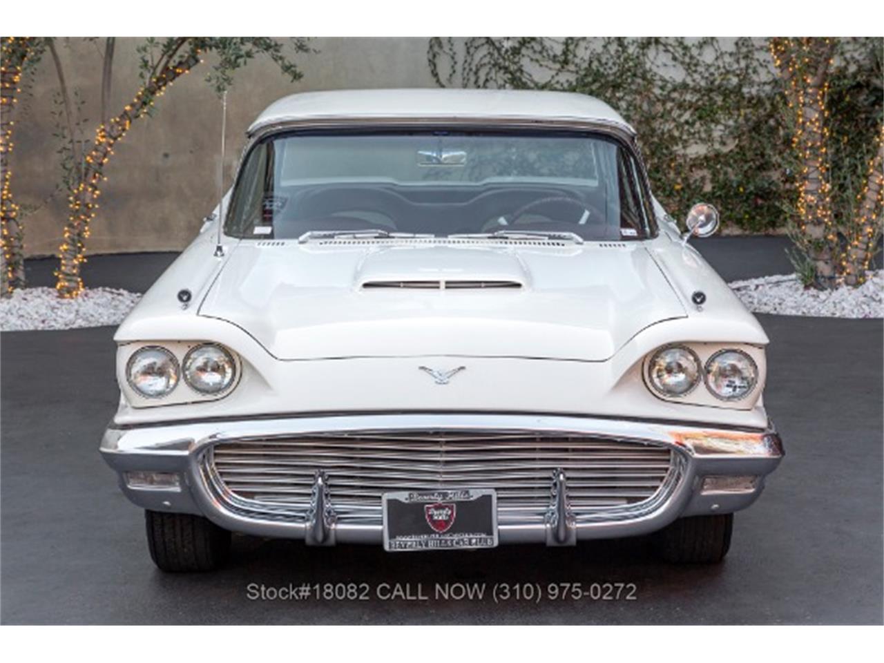 1959 ford thunderbird