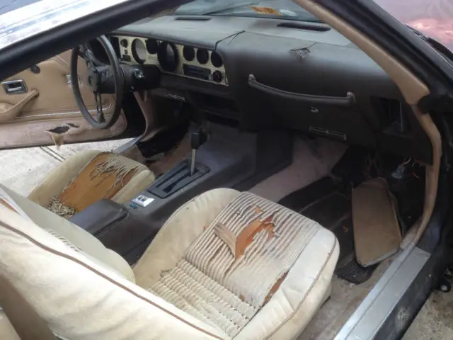 turbo trans am 1981 - all original