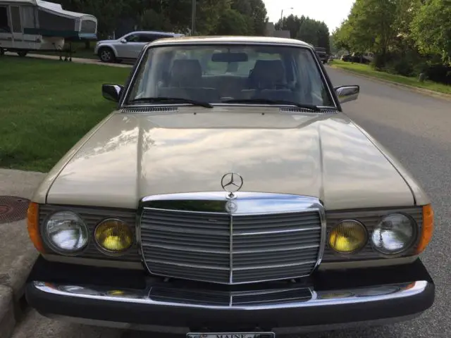 1981 mercedes benz 300d