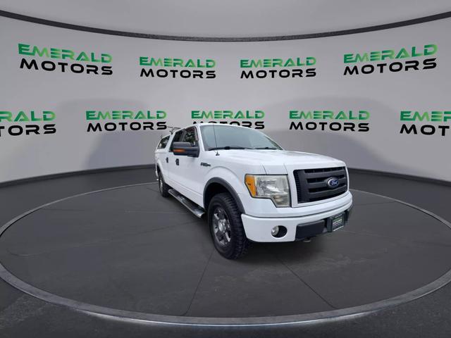2010 ford f-150 fx4