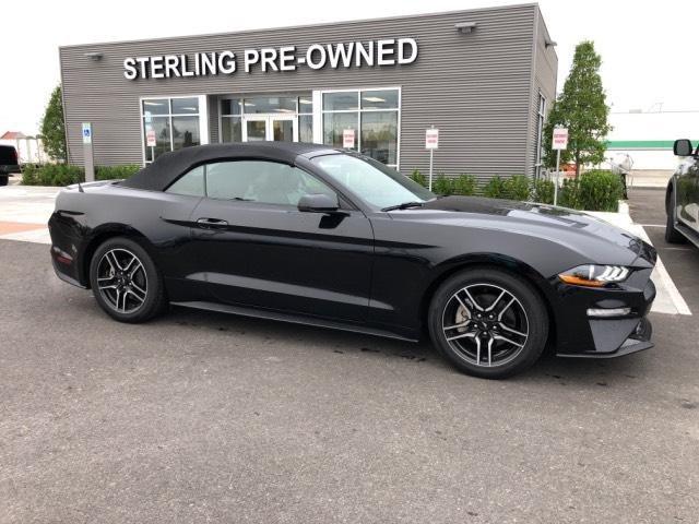 used 2019 ford mustang premium convertible opelousas, la 70570 for sale in opelousas, louisiana