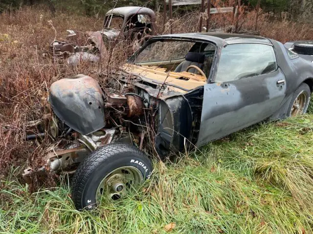 1980 pontiac trans am coupe black rwd automatic y84