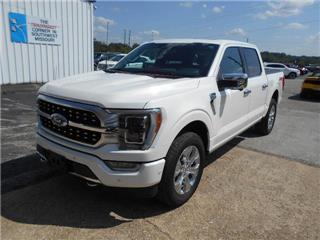 2022 Ford F-150 platinum