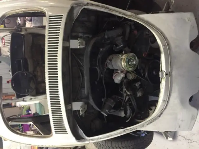vw beetle made in mexico