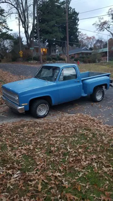 1982 chevrolet truck swb stepside custom no reserve