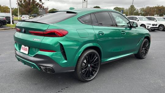 2025 BMW X6