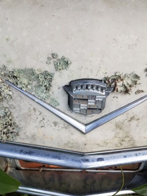 1966 cadillac calais "barn find"