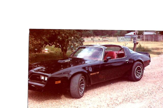 1978 pontiac trans am firebird