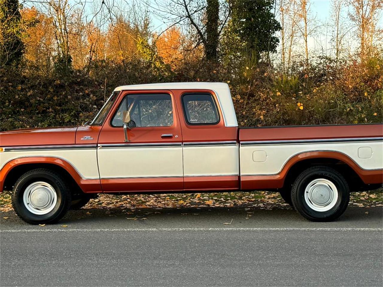 1977 ford f150