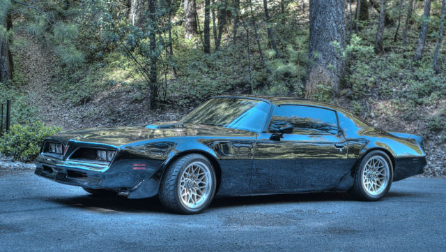 77 pontiac firebird trans am coupe 6.6l movie used amazing car - mean and low !!