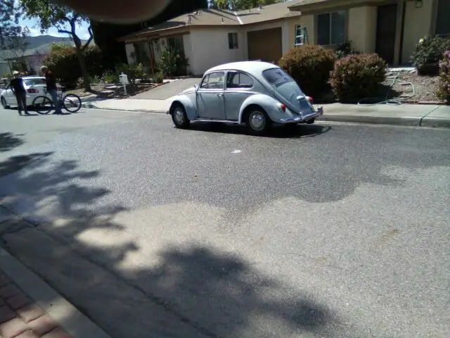 1966 volkswagen beetle/bug