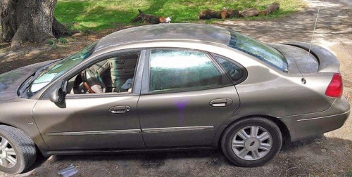2003 ford taurus se in florida by owner