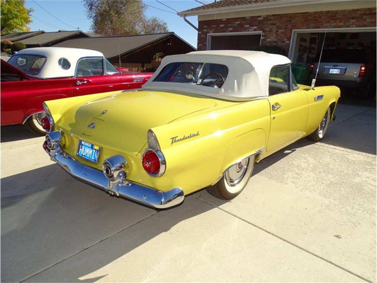 1955 ford thunderbird