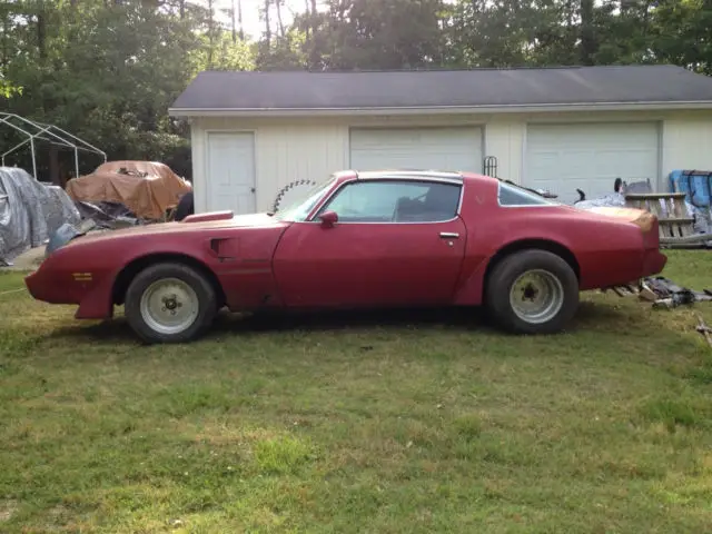 1981 pontiac trans am t-top