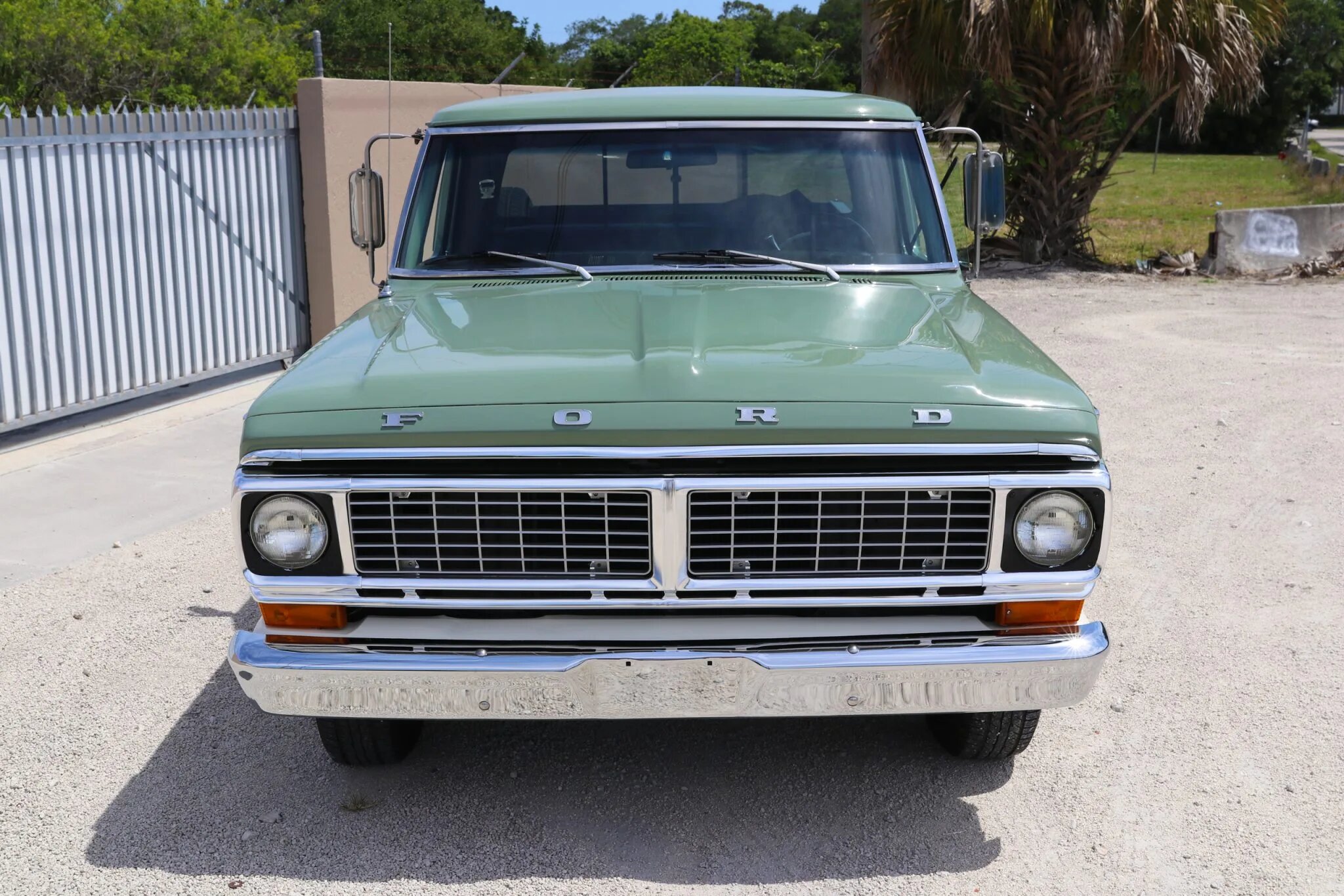 ford f-100