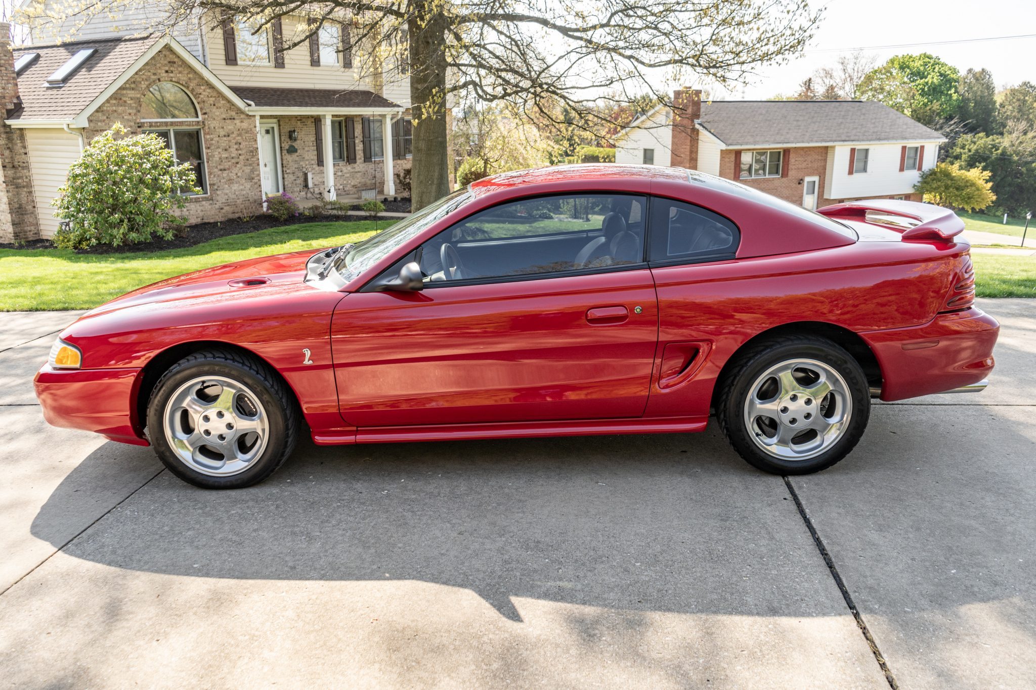 1994 ford mustang svt cobra