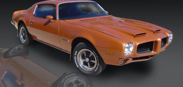 1973 pontiac firebird formula 400 6.6l