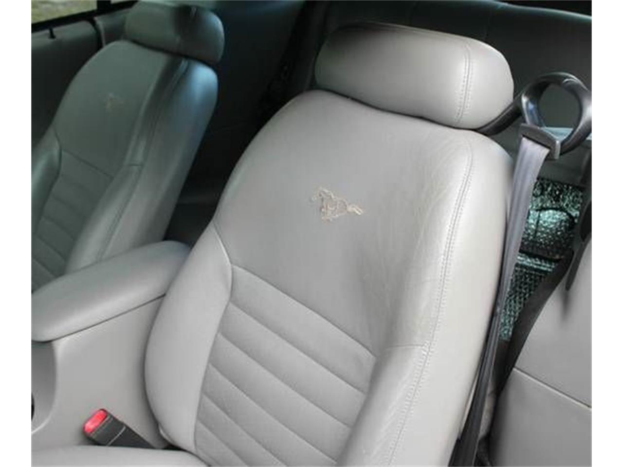 2003 ford mustang