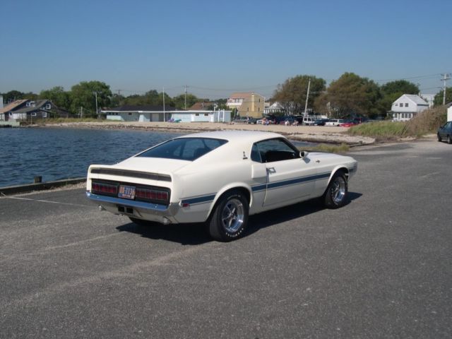 shelby cobra gt500