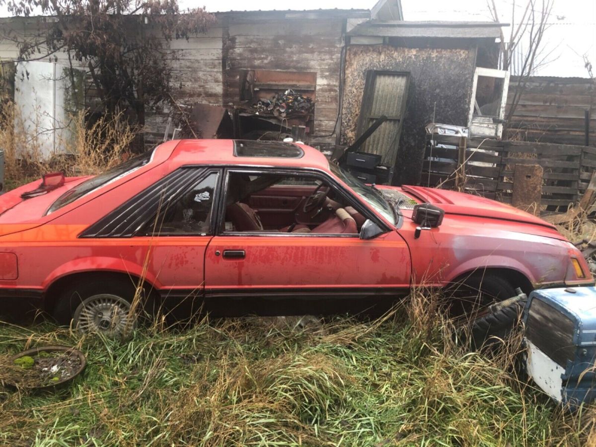1980 mustang cobra turbo - rare car
