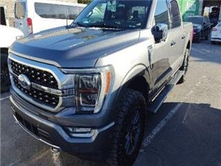 2021 Ford F-150 platinum