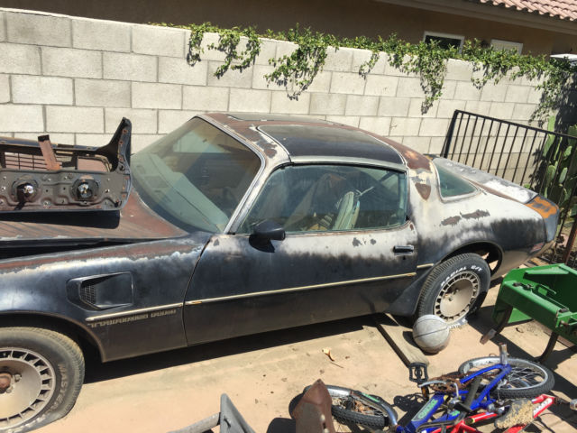 1981 trans am turbo