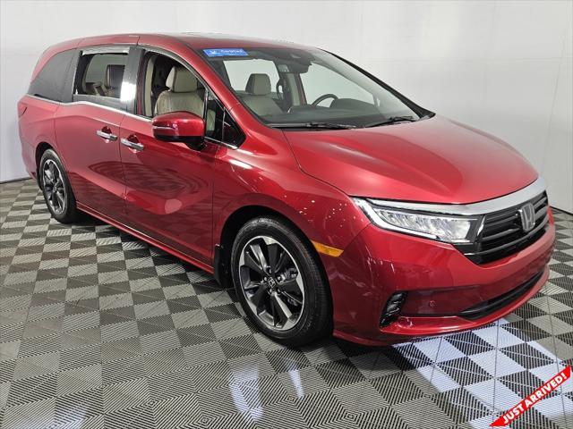 2023 honda odyssey elite