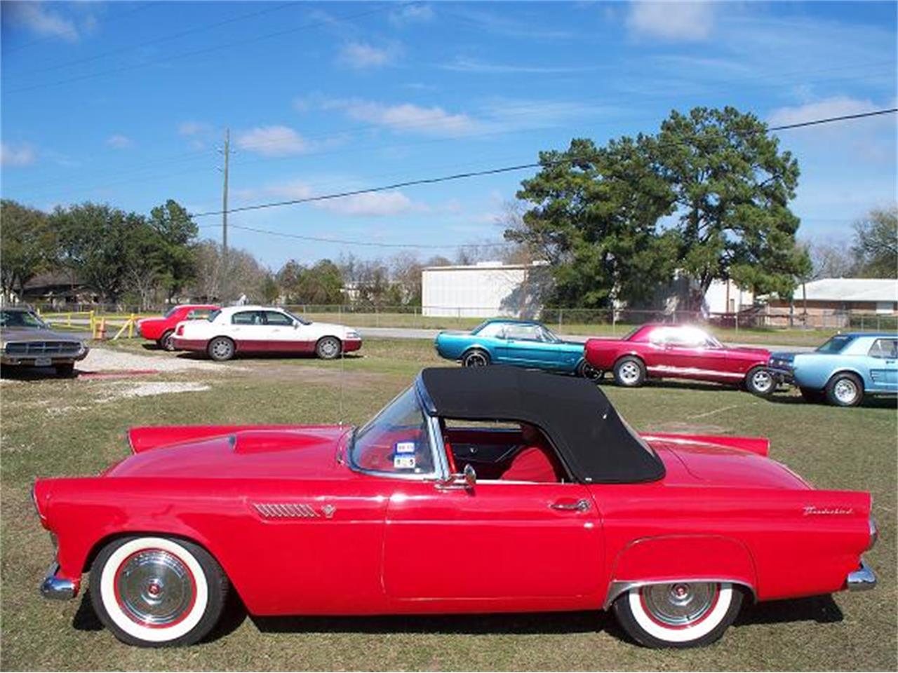 1955 ford thunderbird