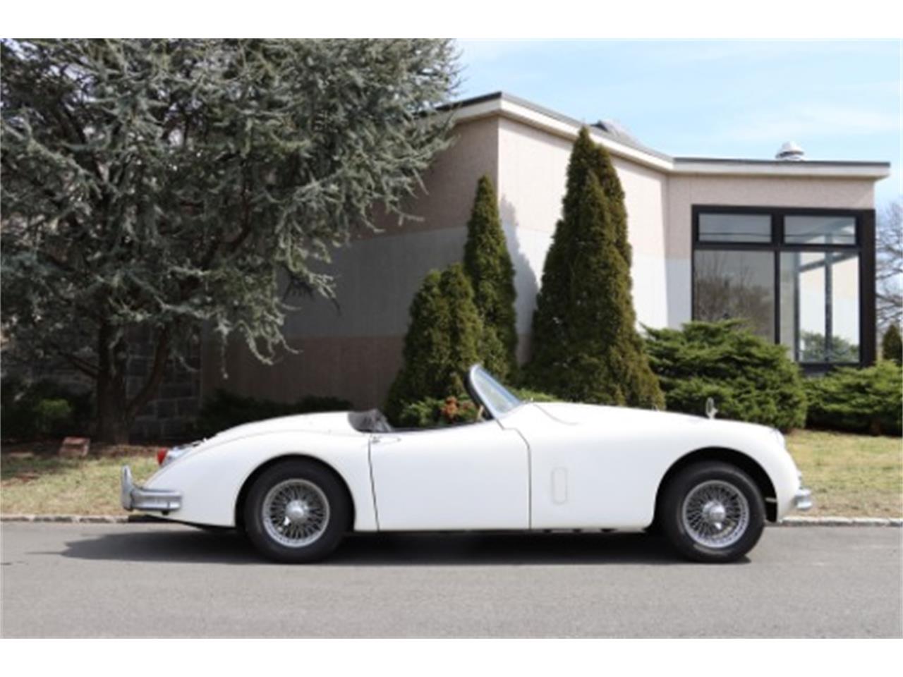 1959 jaguar xk150