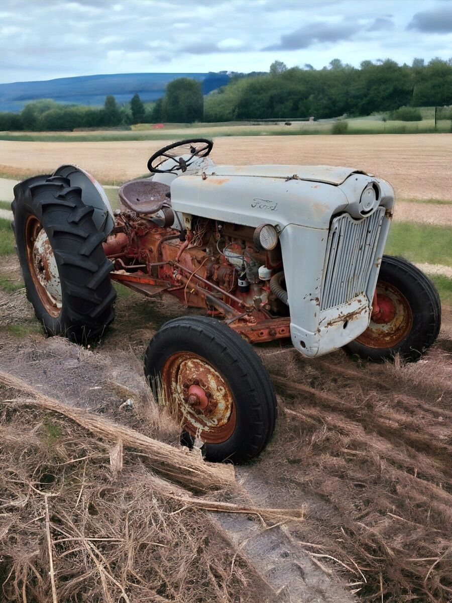 1954 ford f grey rwd manual