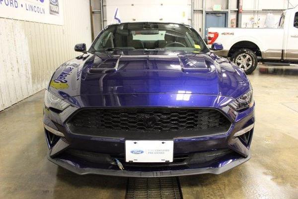 2020 ford mustang in coldfoot, alaska