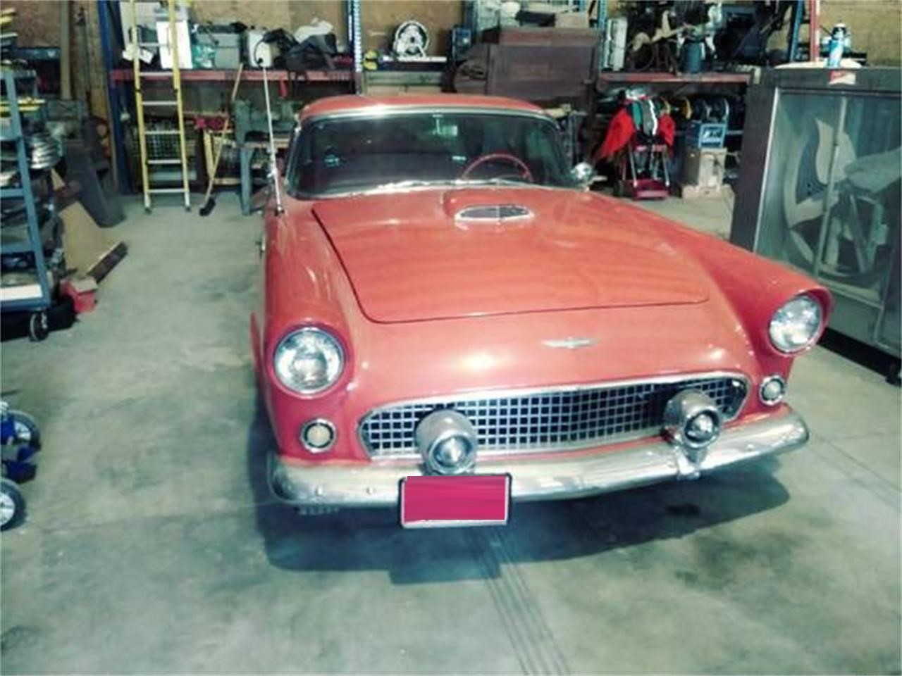 1956 ford thunderbird