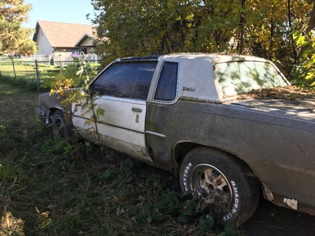 1982 oldsmobile cutlass supreme t-tops!!!