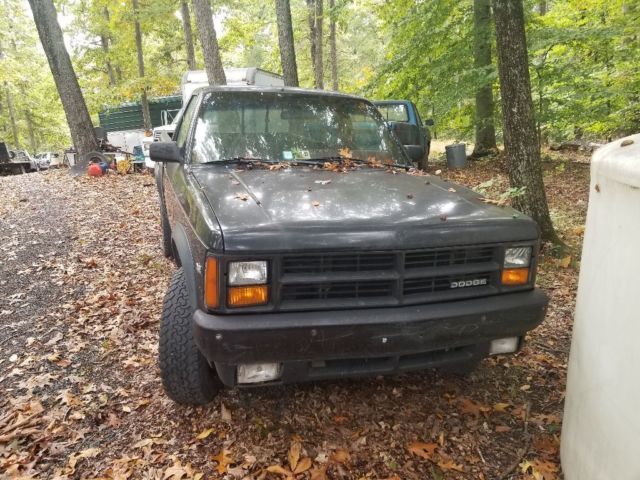 1989 dodge dakota 4x4
