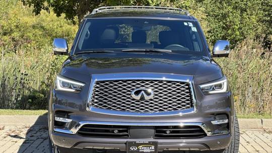 2024 Infiniti QX80