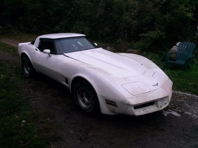 1980 corvette project