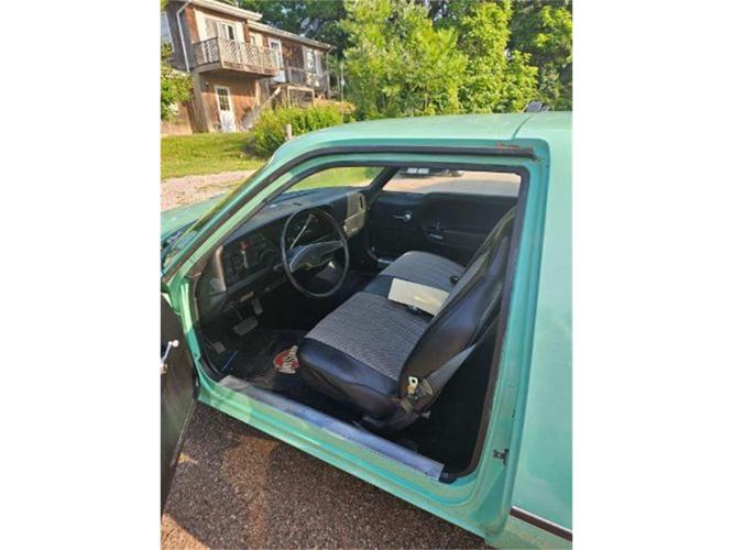 1975 amc pacer in cadillac, michigan