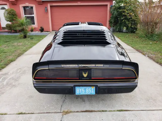 1981 pontiac trans am turbo se y84 w56 "bandit" triple black