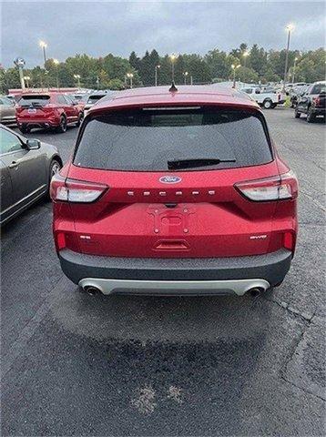 2019 ford escape se