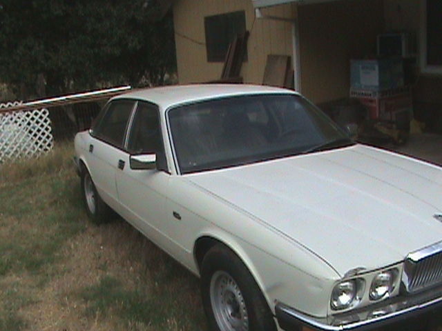 1988 jaguar xj6 pristine condition