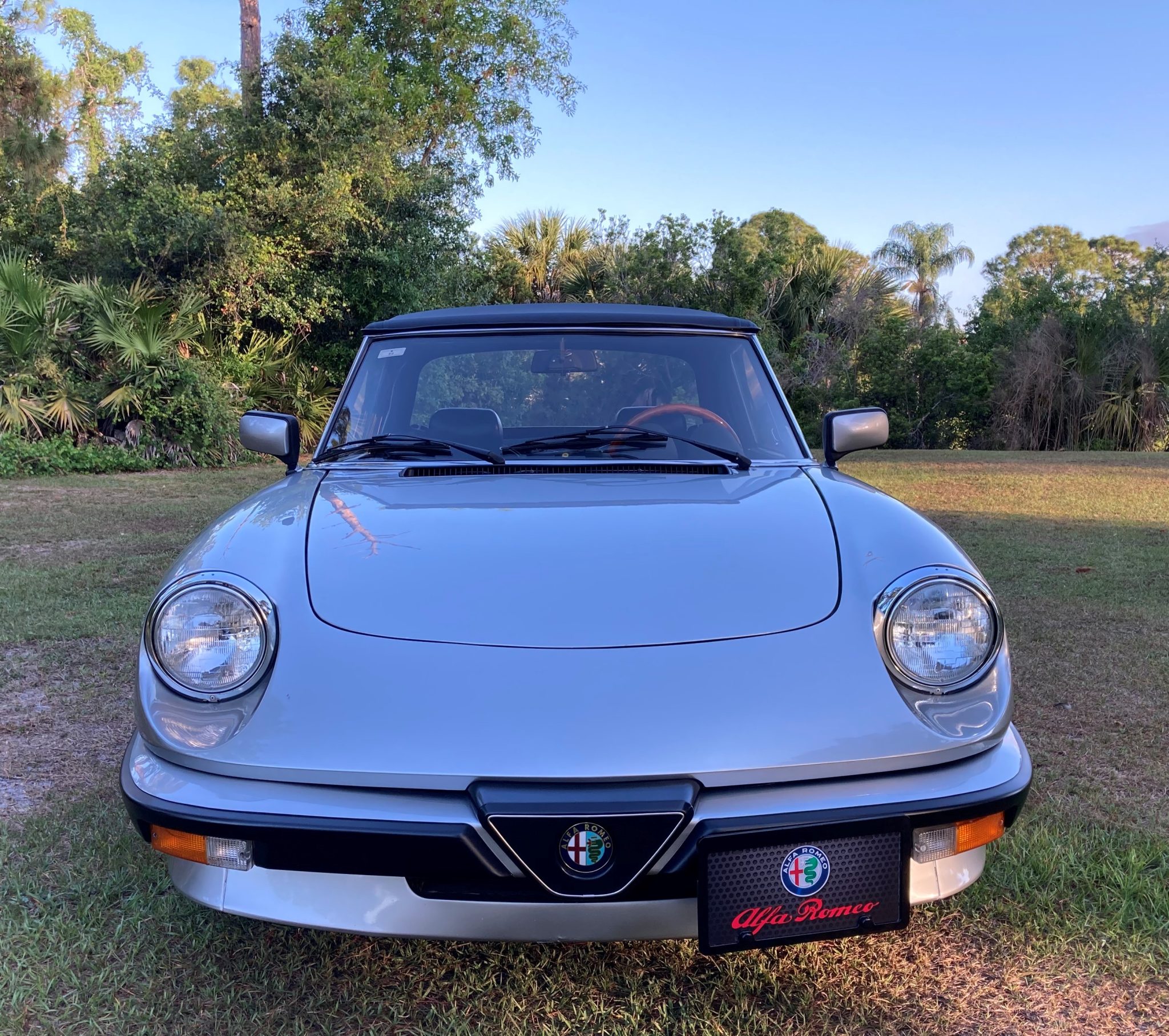 39k-mile 1984 alfa romeo spider veloce