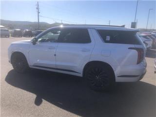 2025 Hyundai Palisade calligraphy night edition