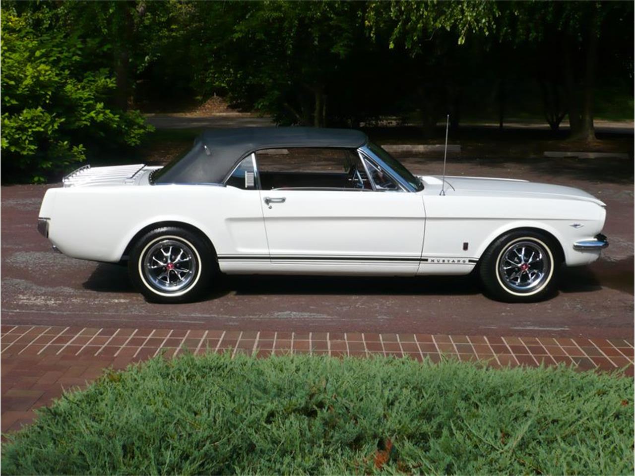 1966 ford mustang