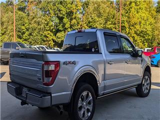 2022 Ford F-150 platinum