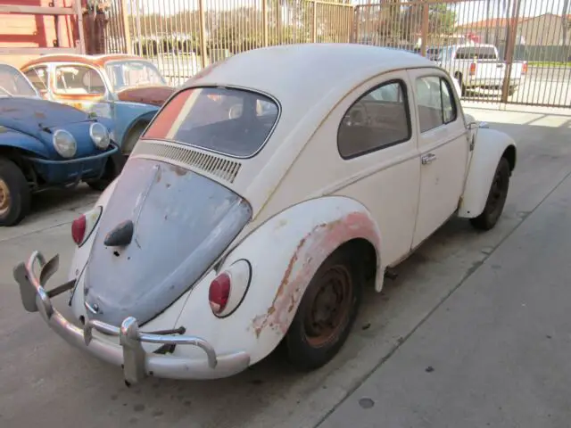 1964 volkswagen sunroof beetle bug