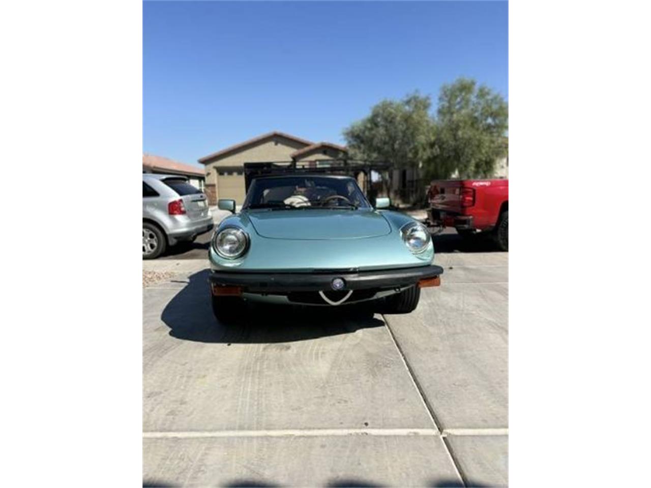 1982 alfa romeo spider
