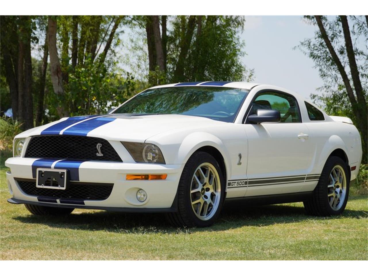 2008 ford shelby cobra